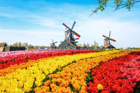 Du lịch Hà Lan - Công Ty Du Lịch Quốc Tế Đông á